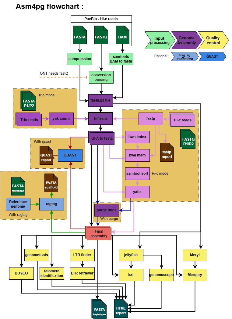 Asm4pg long-read genome assembly and QC pipeline supporting PacBio, ONT, Hi-C and HiFi data