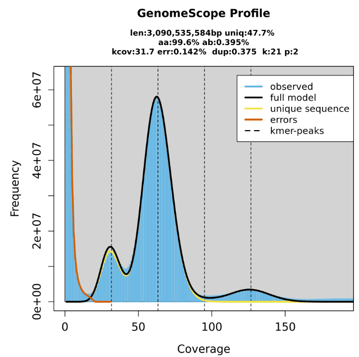Asm4pg Snakemake workflow producing haplotype-resolved genome assemblies for pangenome construction