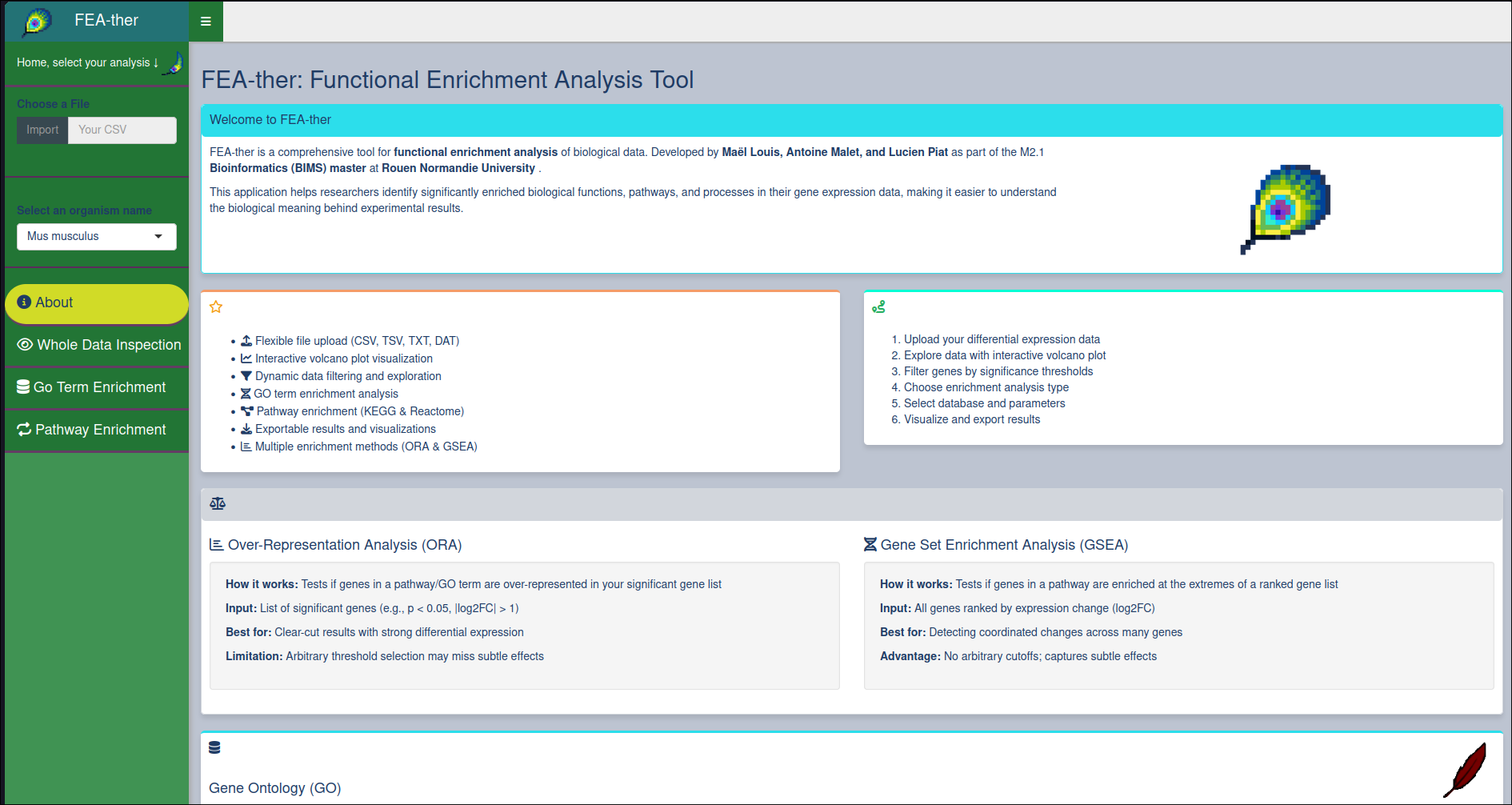 FEAther screenshot 2