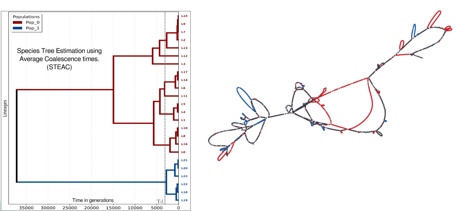 MSpangepop ⋆ screenshot 2